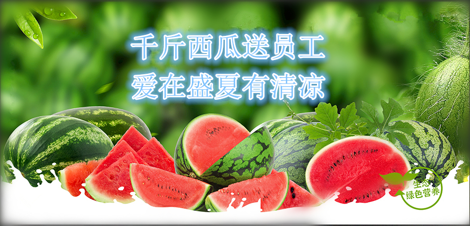 通達軟件公司： 千斤西瓜送員工，愛在盛夏有清涼